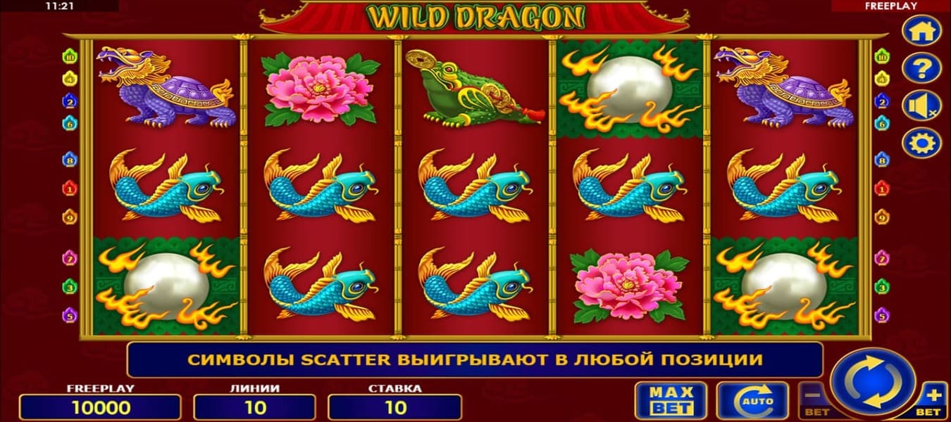 Wild Dragon